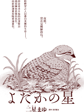 夜鹰之星