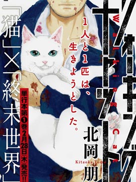 Walking cat