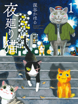 夜巡猫