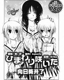 向日葵开了