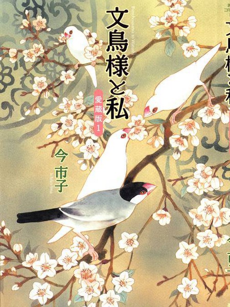 文鸟与我