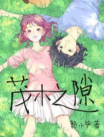 茂木之隙