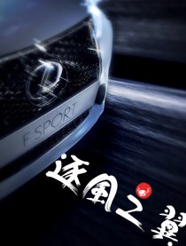 逐风之翼