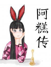 阿糕传