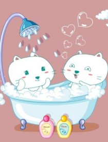 笨笨猫特刊