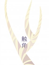 触角