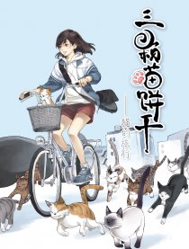 三颗猫饼干—猫的旅行