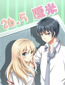 26.5厘米