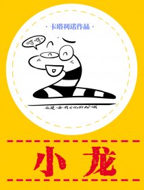 小龙