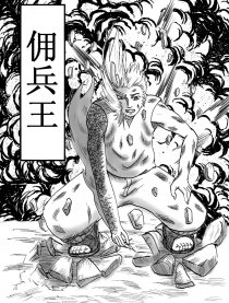 佣兵王