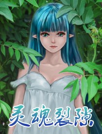 灵魂裂隙