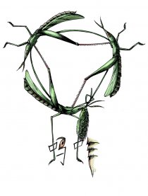 七页谈