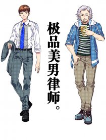 极品美男律师