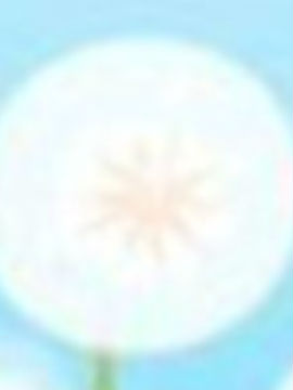 海岛疯狂