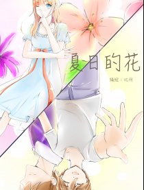 夏日的花