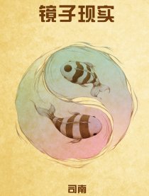 镜子现实