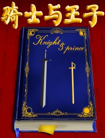 Knight and Prince