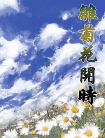 雏菊花开时