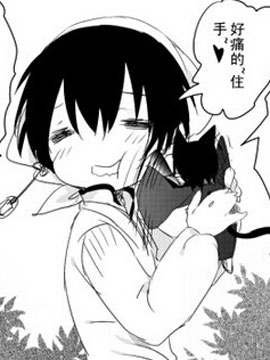 小黑猫鬼灯