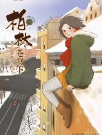 柏林苍穹下