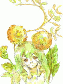 蔷薇色的日子