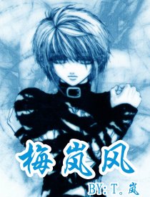 梅岚风