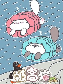 被窝猫