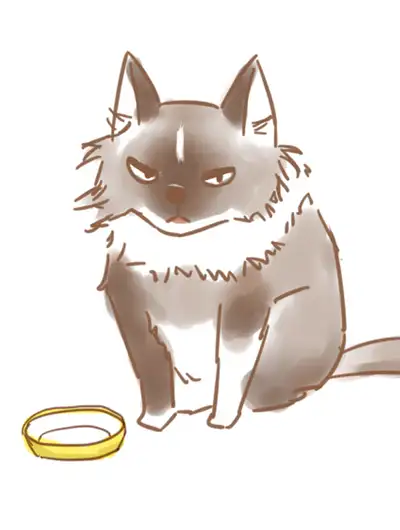 猫是真的狗