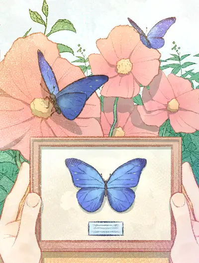 虫虫往生录