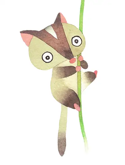 懒狸