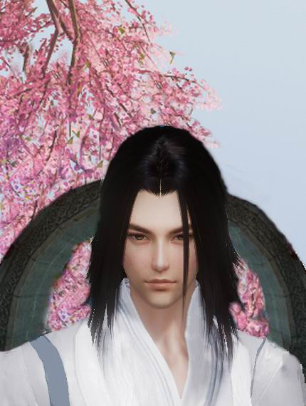 正魔叛