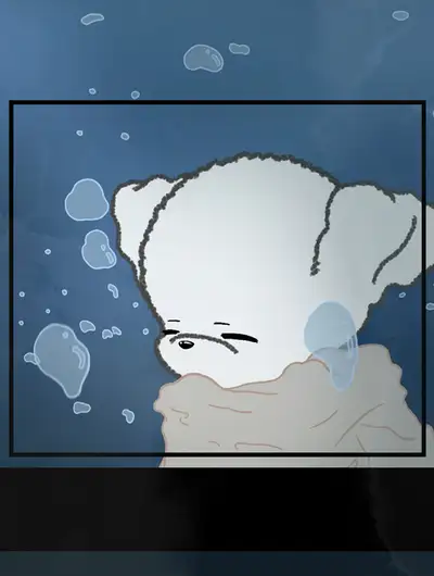 宝贝