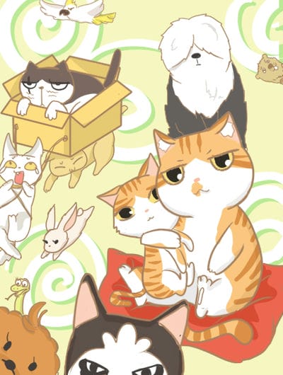 宠物公寓