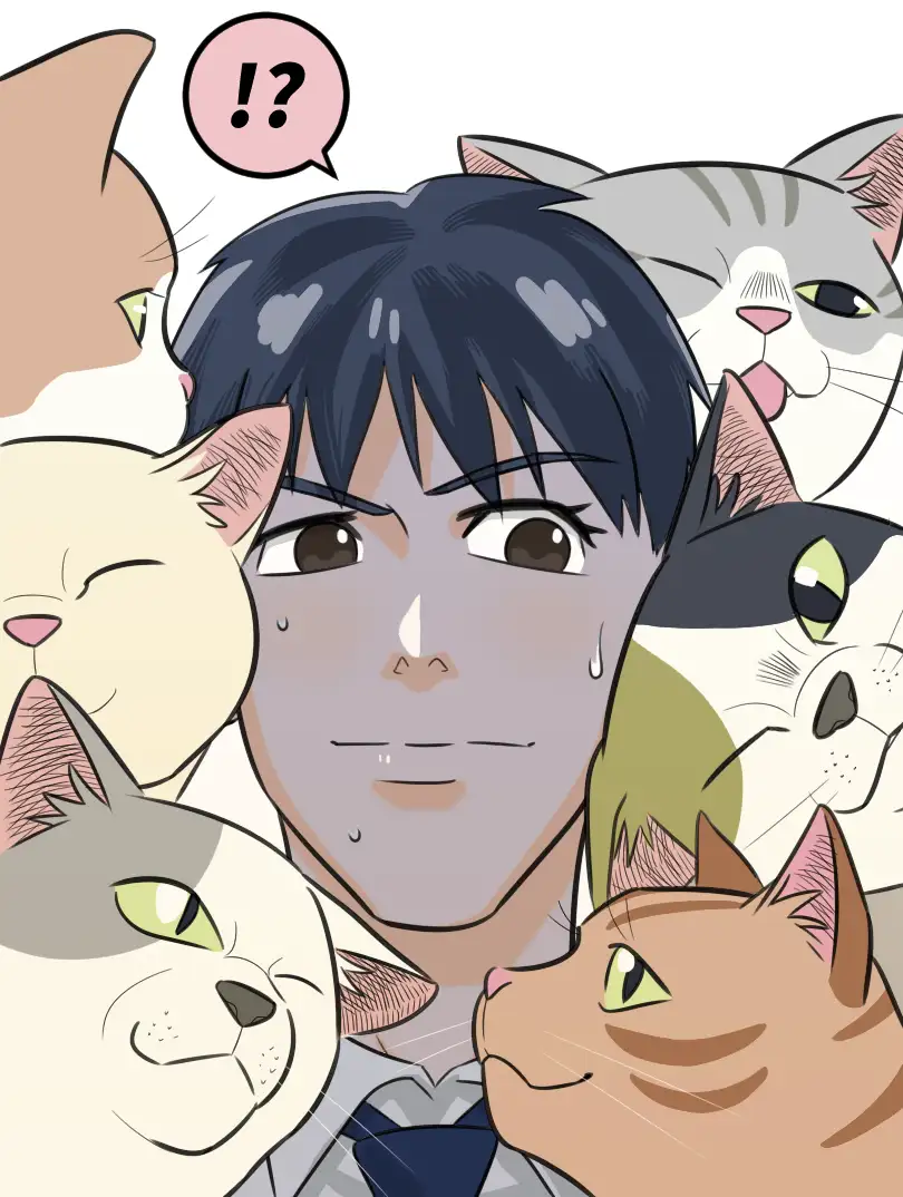 内卷成猫