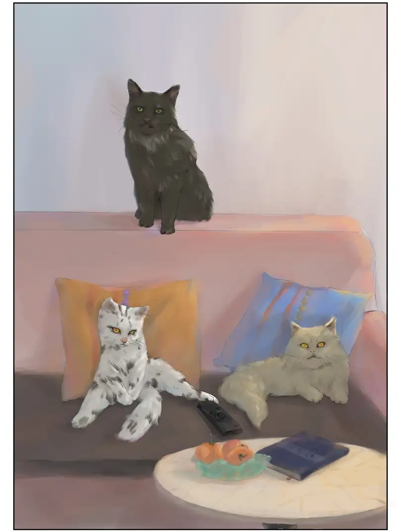 一家三猫