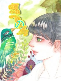 想飞的鸟
