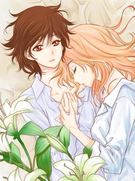 Lily Love