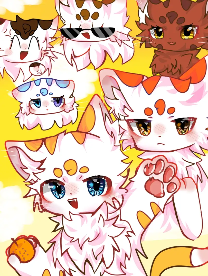 神猫之语