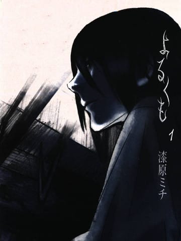 夜蜘蛛