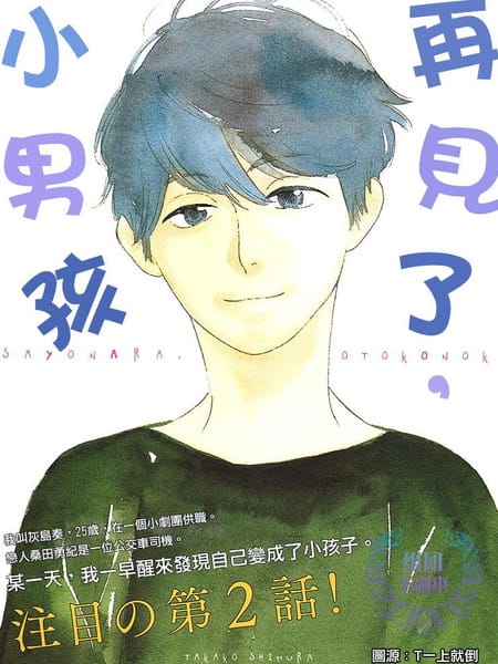 再见了 小男孩