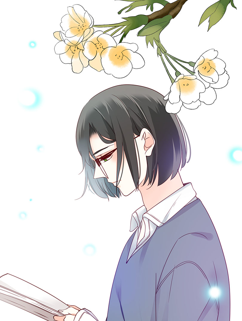 侍与飞鸟